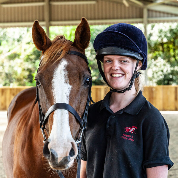 Equine Science BSc (Hons)